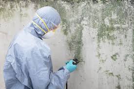 Why You Should Choose Our Mold Remediation Services in Lineville, AL